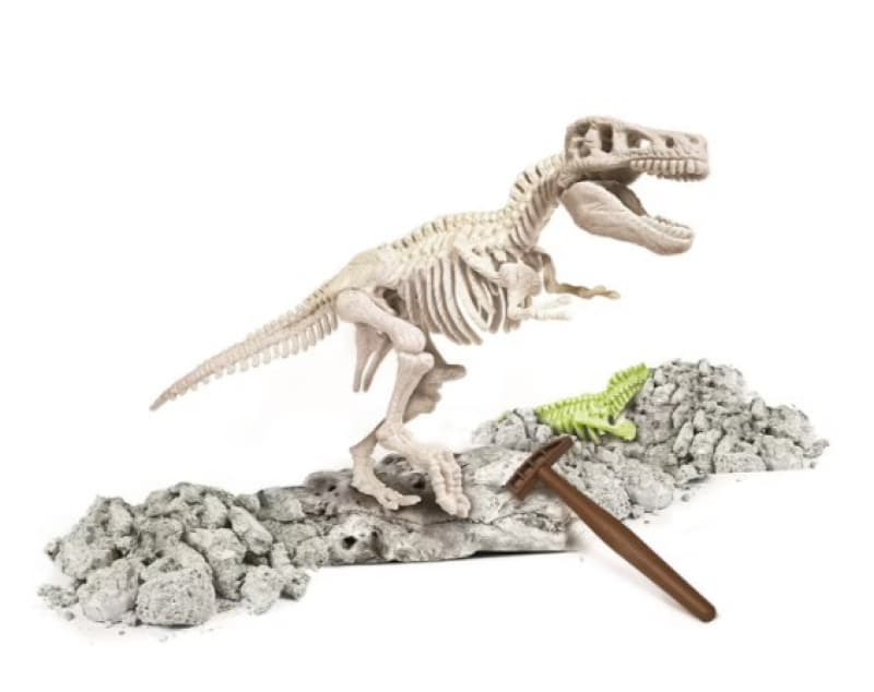 Archeo Ludic T-rex Mg, non dinos clementoni 25-10 — vue 2 sur 3
