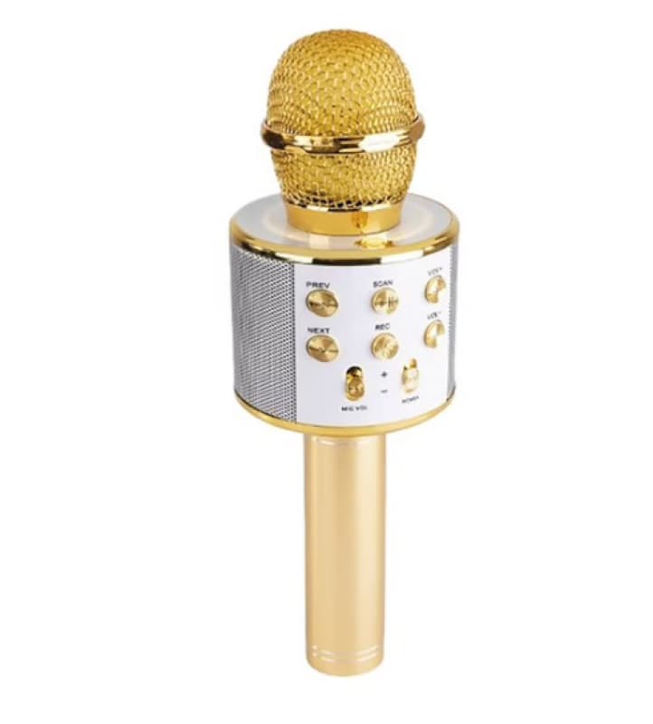 Micro Karaoke 7 en 1 Kd