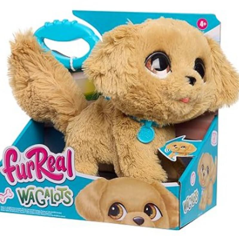 Frf Marche Gold Retriever