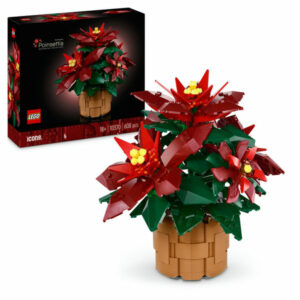 Poinsettia